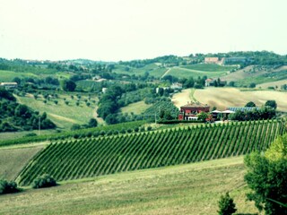 Appartamento Coriano Ambiente 37