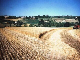 Appartamento Coriano Ambiente 27