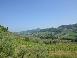 Apartamento Coriano Entorno 33
