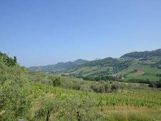 Apartment Coriano Umgebung 33