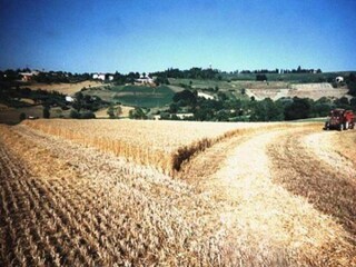 Apartamento Coriano Entorno 23