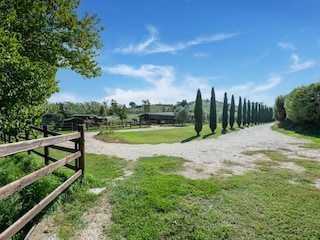 Type de propriété : Ferme Cretone Environnement 38