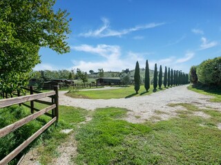 Fattoria Cretone Ambiente 38