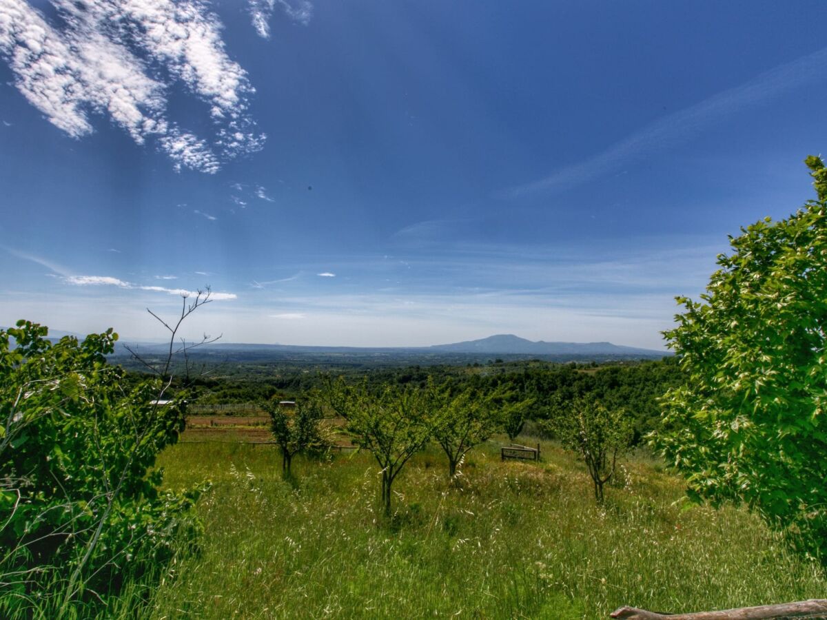 Cottage Civitella d'Agliano Außenaufnahme 8