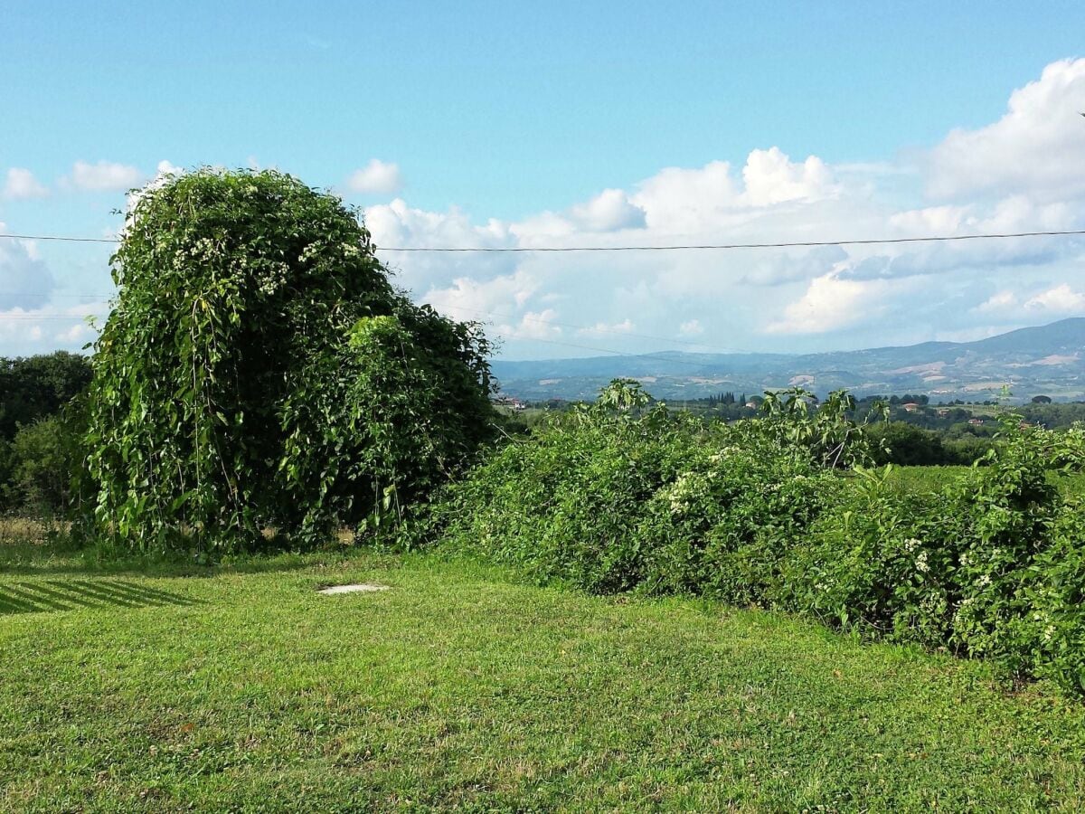 Cottage Civitella d'Agliano Außenaufnahme 13