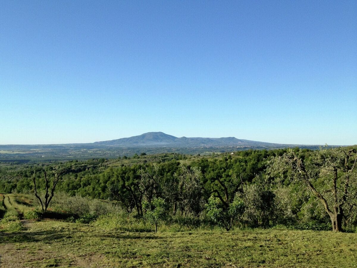 Cottage Civitella d'Agliano Umgebung 34