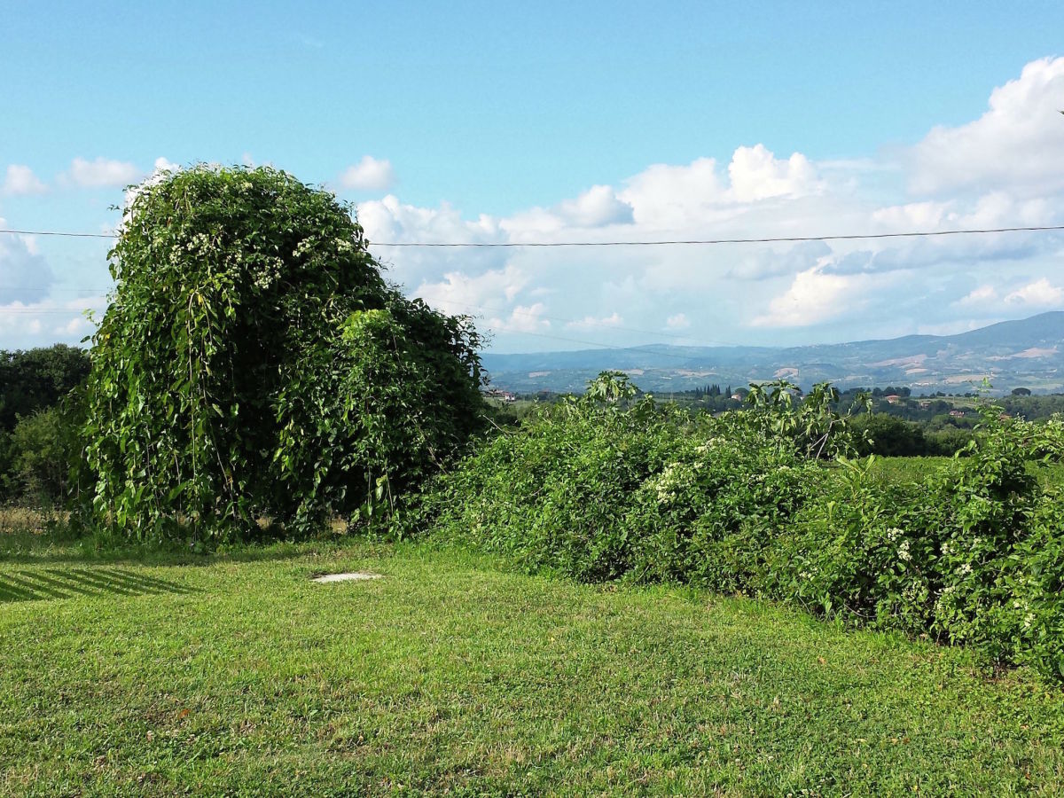 Holiday cottage Civitella d'Agliano Outdoor Recording 1