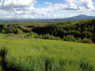 Vakantiehuisje Civitella d'Agliano Omgeving 3