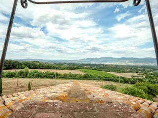 Vakantiehuisje Civitella d'Agliano Omgeving 5