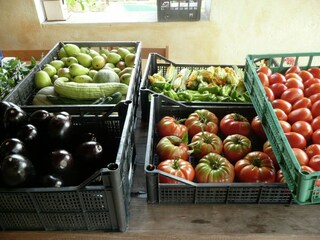 Vakantiehuisje Civitella d'Agliano  7
