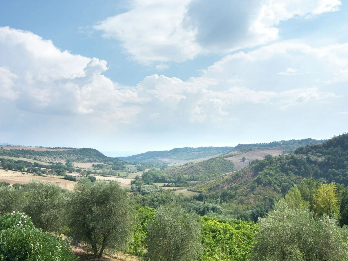 Villa Castiglione in Teverina Umgebung 39