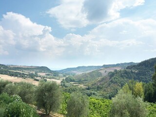 Villa Castiglione in Teverina Environnement 38