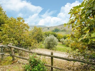 Villa Castiglione in Teverina Buitenaudio-opname 5