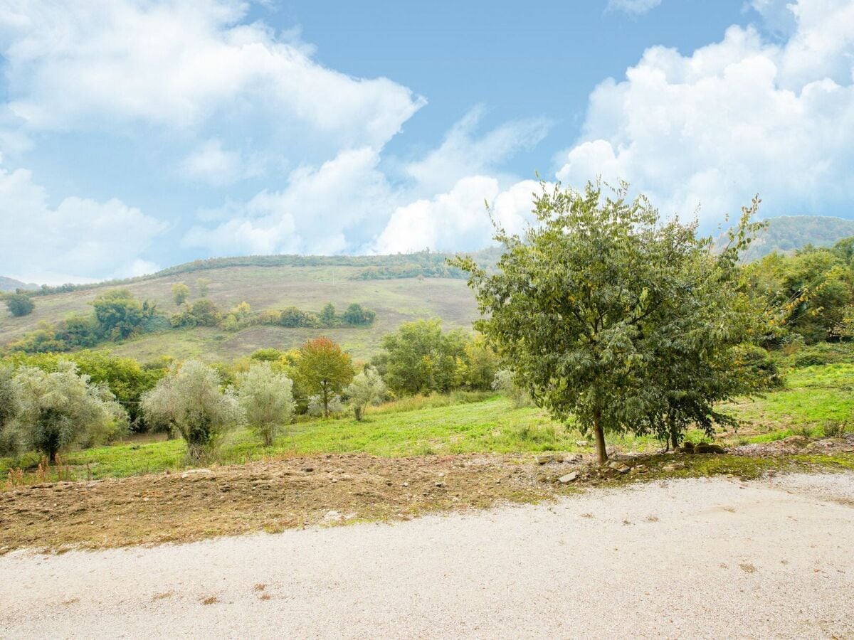 Villa Castiglione in Teverina Umgebung 33