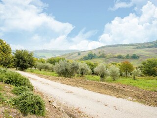 Villa Castiglione in Teverina Omgeving 34