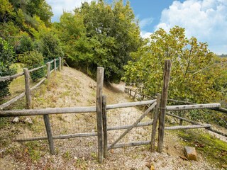 Villa Castiglione in Teverina Características 15