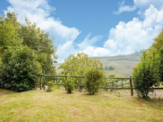 Villa Castiglione in Teverina Außenaufnahme 6