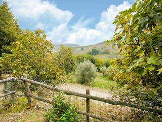Villa Castiglione in Teverina Enregistrement extérieur 6