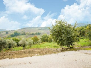 Villa Castiglione in Teverina Environment 33