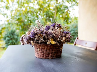 Villa Castiglione in Teverina  37