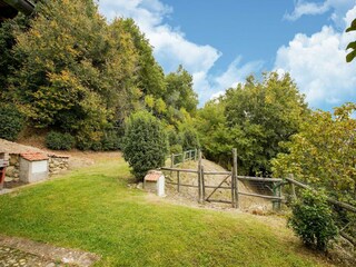 Villa Castiglione in Teverina Registrazione all'aperto 4