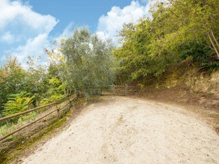 Villa Castiglione in Teverina Caratteristiche 26