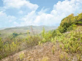 Villa Castiglione in Teverina Buitenaudio-opname 4