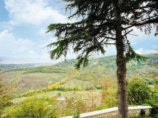 Villa Castiglione in Teverina Außenaufnahme 5