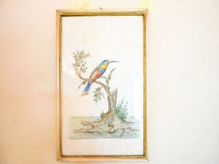 Holiday house Castiglione in Teverina  33