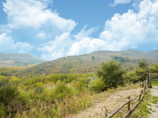 Holiday house Castiglione in Teverina Outdoor Recording 6