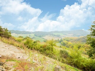 Holiday house Castiglione in Teverina Environment 27