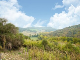 Vakantiehuis Castiglione in Teverina Omgeving 28