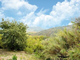 Holiday house Castiglione in Teverina Environment 29