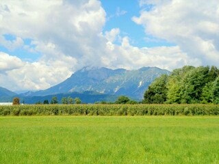 Villa Spilimbergo Outdoor Recording 6