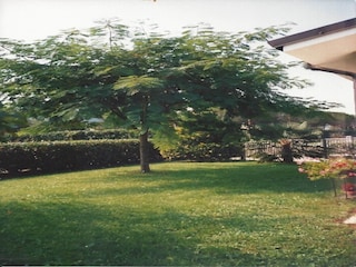 Villa Spilimbergo Grabación al aire libre 12