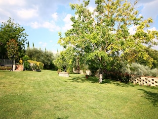 Holiday house Selci Outdoor Recording 16