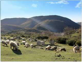 Casa per le vacanze Selci Ambiente 35