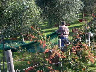 Vakantiehuis Selci Omgeving 35