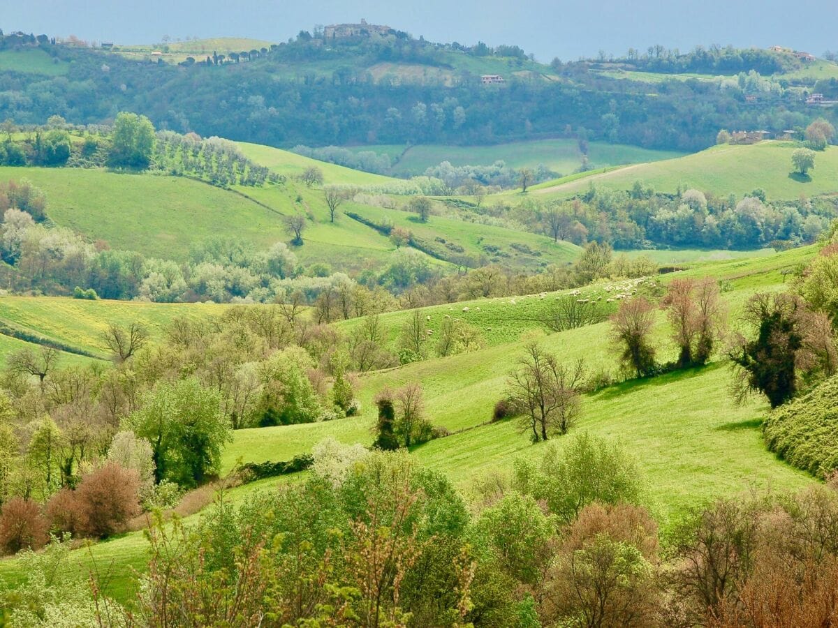 Villa Magliano Sabina Umgebung 5