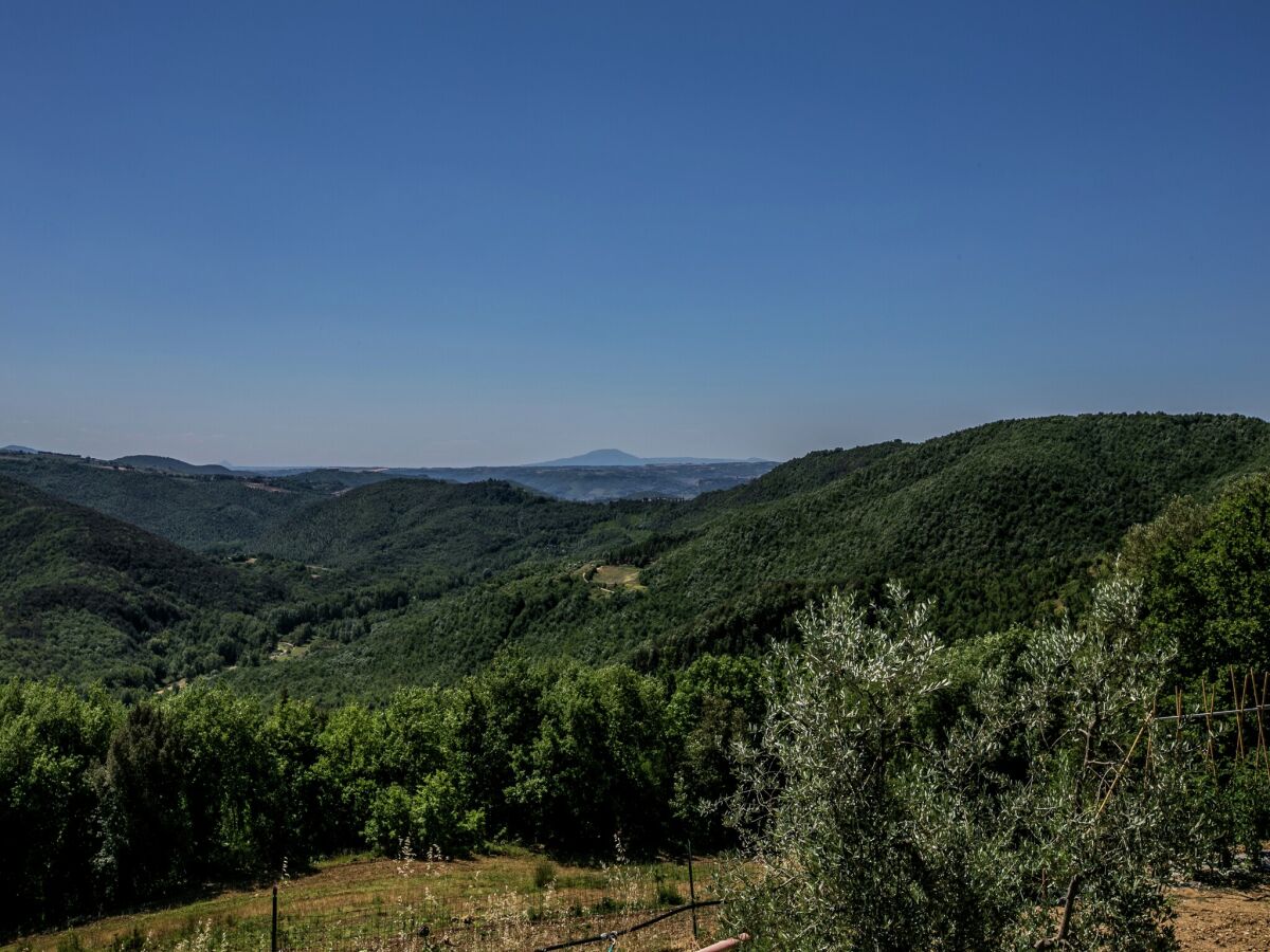 Bauernhof Orvieto & Umgebung Umgebung 39