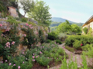 Villa Montecchio Außenaufnahme 17