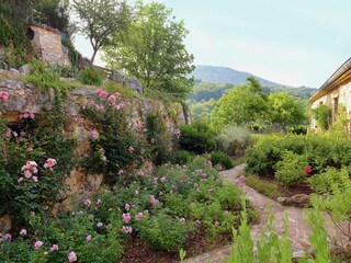 Villa Montecchio Outdoor Recording 8