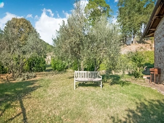 Farmhouse Monte Santa Maria Tiberina Outdoor Recording 4