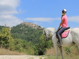 Type de propriété : Ferme Monte Santa Maria Tiberina  38