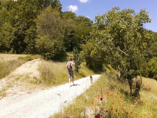 Holiday house Nocera Umbra Environment 34