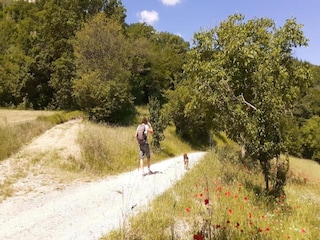 Vakantiehuis Nocera Umbra Omgeving 28