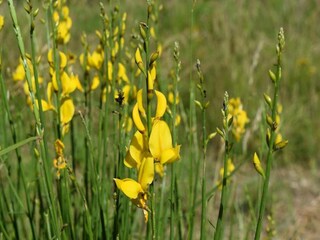 Casa per le vacanze Nocera Umbra  38