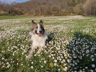 Casa per le vacanze Nocera Umbra  40
