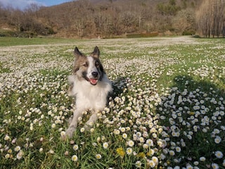 Ferienhaus Nocera Umbra  40