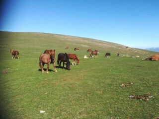 Casa de vacaciones Nocera Umbra Entorno 36